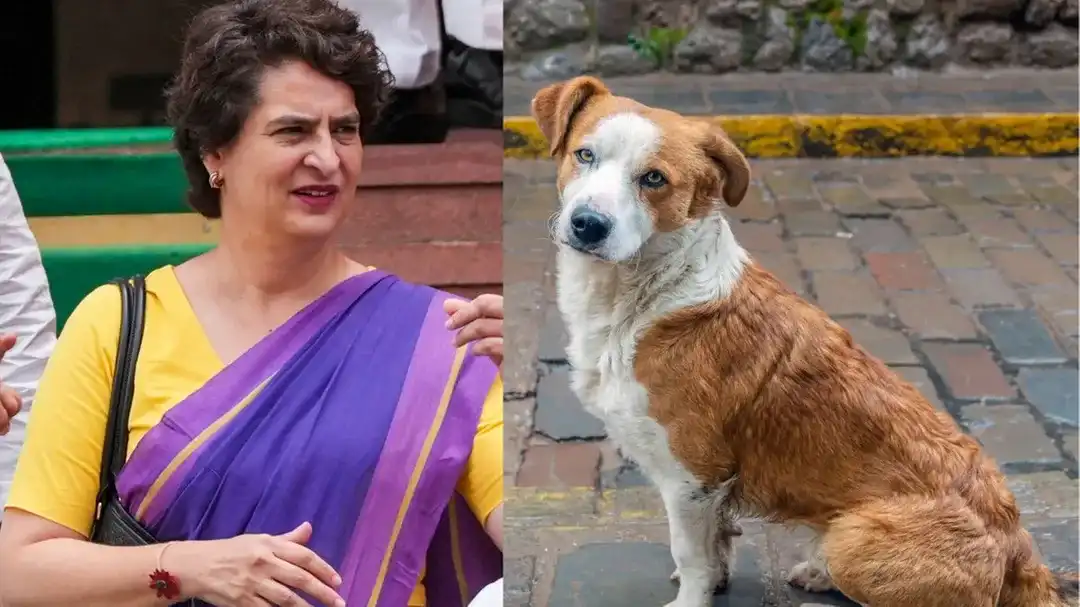 Supreme Court Dog Case: 'सौम्य जीवों के साथ ऐसा बर्ताव नहीं होना चाहिए' – प्रियंका गांधी का सुप्रीम कोर्ट के फैसले पर भावुक बयान