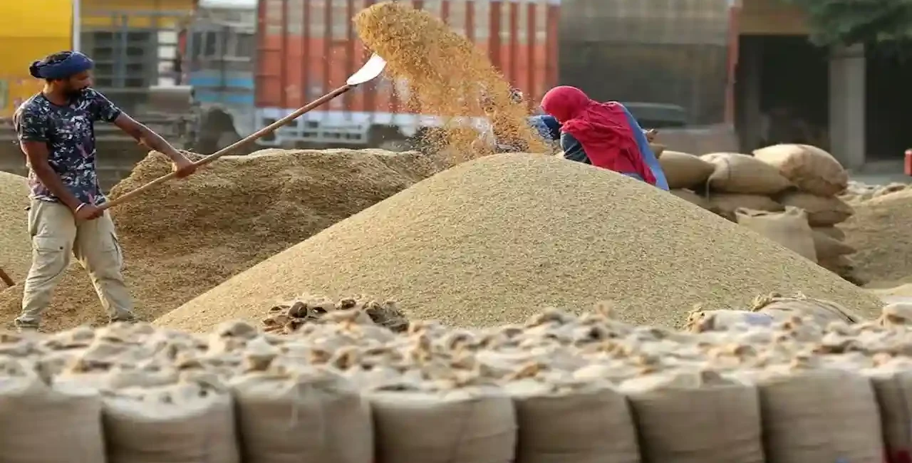 पश्चिमी यूपी में 1 अक्टूबर से शुरू होगी धान खरीद