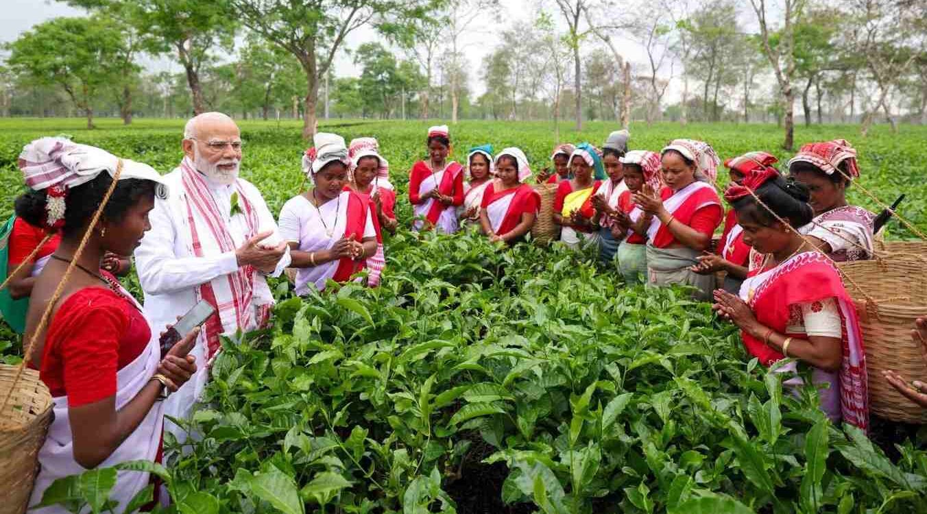 असम चाय बागान दौरा- पीएम मोदी का अनोखा अंदाज