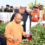 यूपी में ‘35 करोड़ पौधरोपण अभियान’ से हरियाली की नई इबारत, CM योगी की छात्रों और आंगनबाड़ी को खास अपील