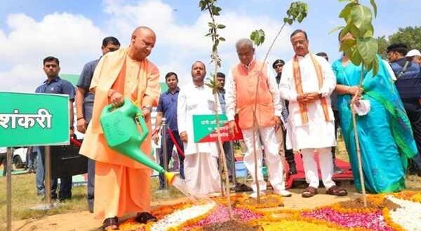 विश्व पर्यावरण दिवस 2026, सीएम योगी ने लगाया आम का पौधा