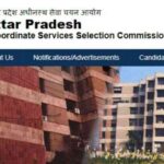 UPSSSC OTR: यूपीएसएसएससी ने शुरू की वन टाइम रजिस्ट्रेशन व्यवस्था, अब हर भर्ती में नहीं भरनी होगी पूरी जानकारी