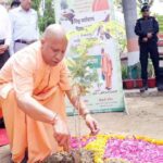 पौधरोपण महाभियान 2026: 12 जुलाई को यूपी में एक दिन में लगेंगे 35 करोड़ पौधे, योगी सरकार बनाएगी नया रिकॉर्ड