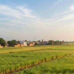 यूपी में थमेगा बारिश का दौर, आज से फिर बढ़ेगा तापमान; अक्टूबर के पहले सप्ताह में मानसून की विदाई
